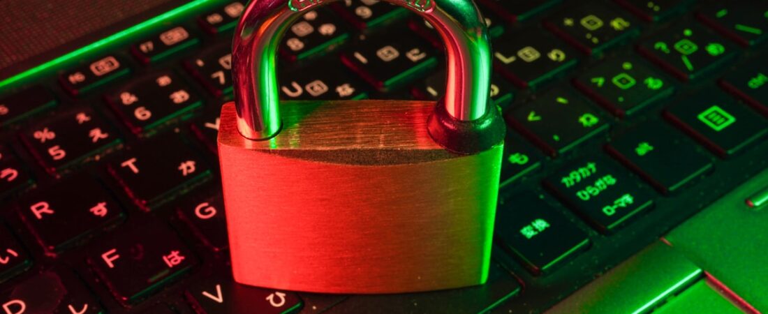 How to Check If Your Data Has Been Breached