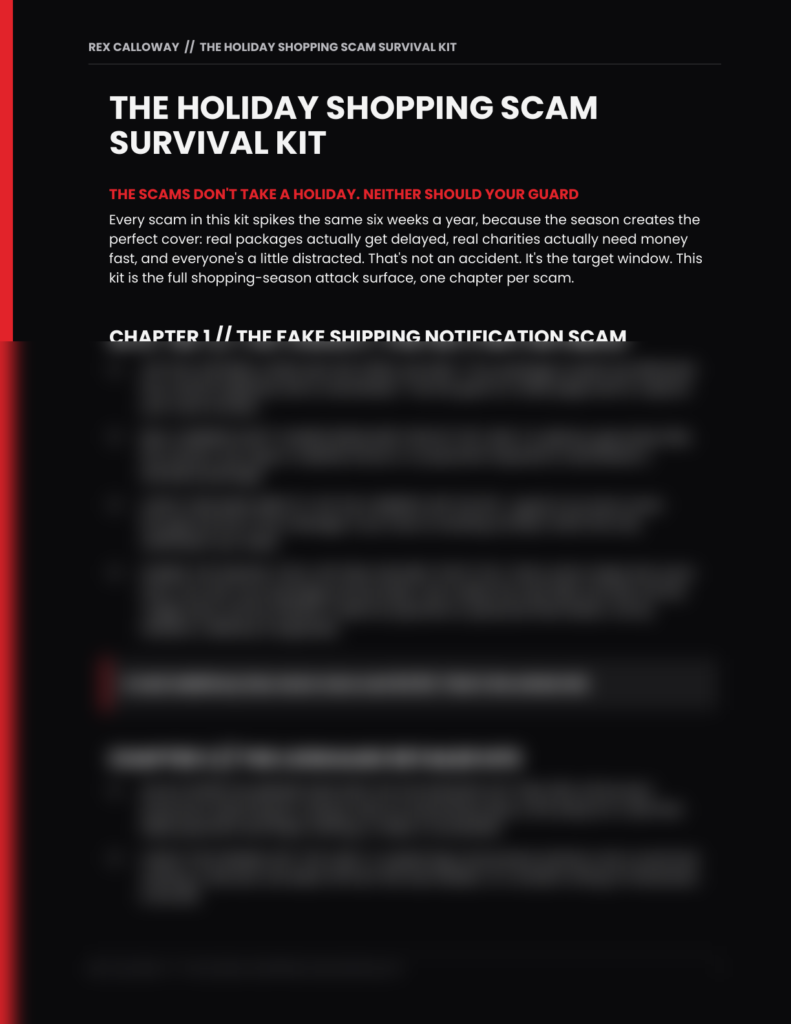 The Holiday Shopping Scam Survival Kit